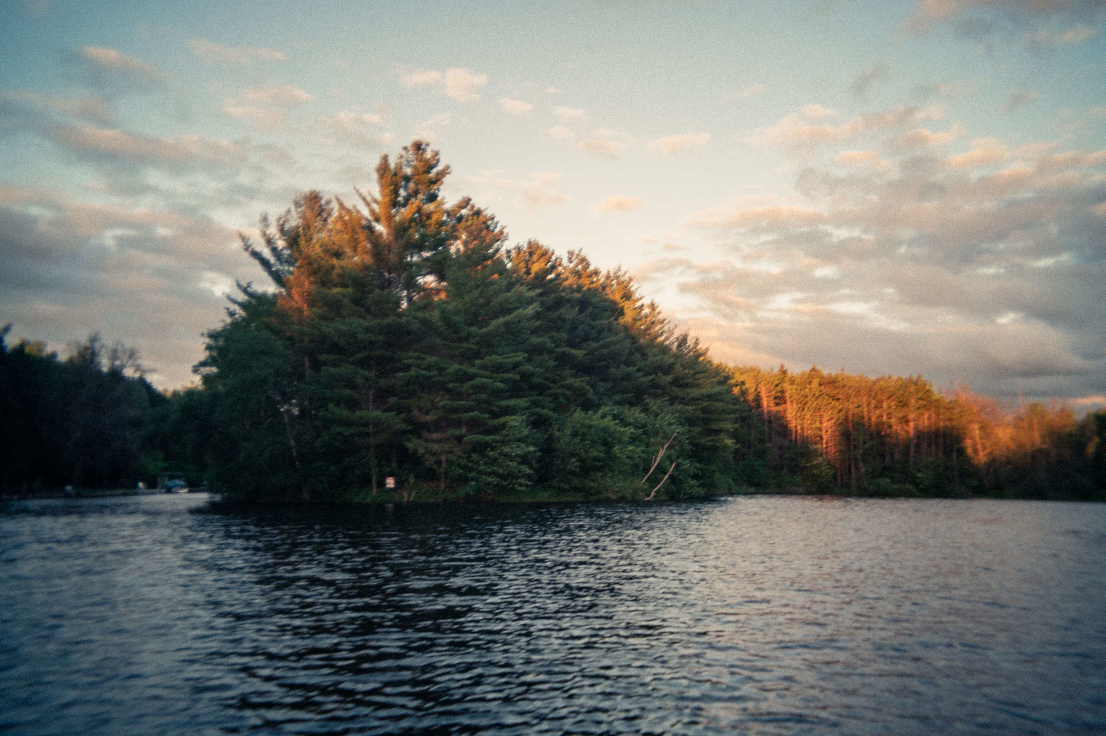 A view of a small island of pine trees at the center of a small lake.